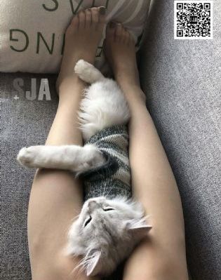 99国产小视频在线观看_超清手机在线看